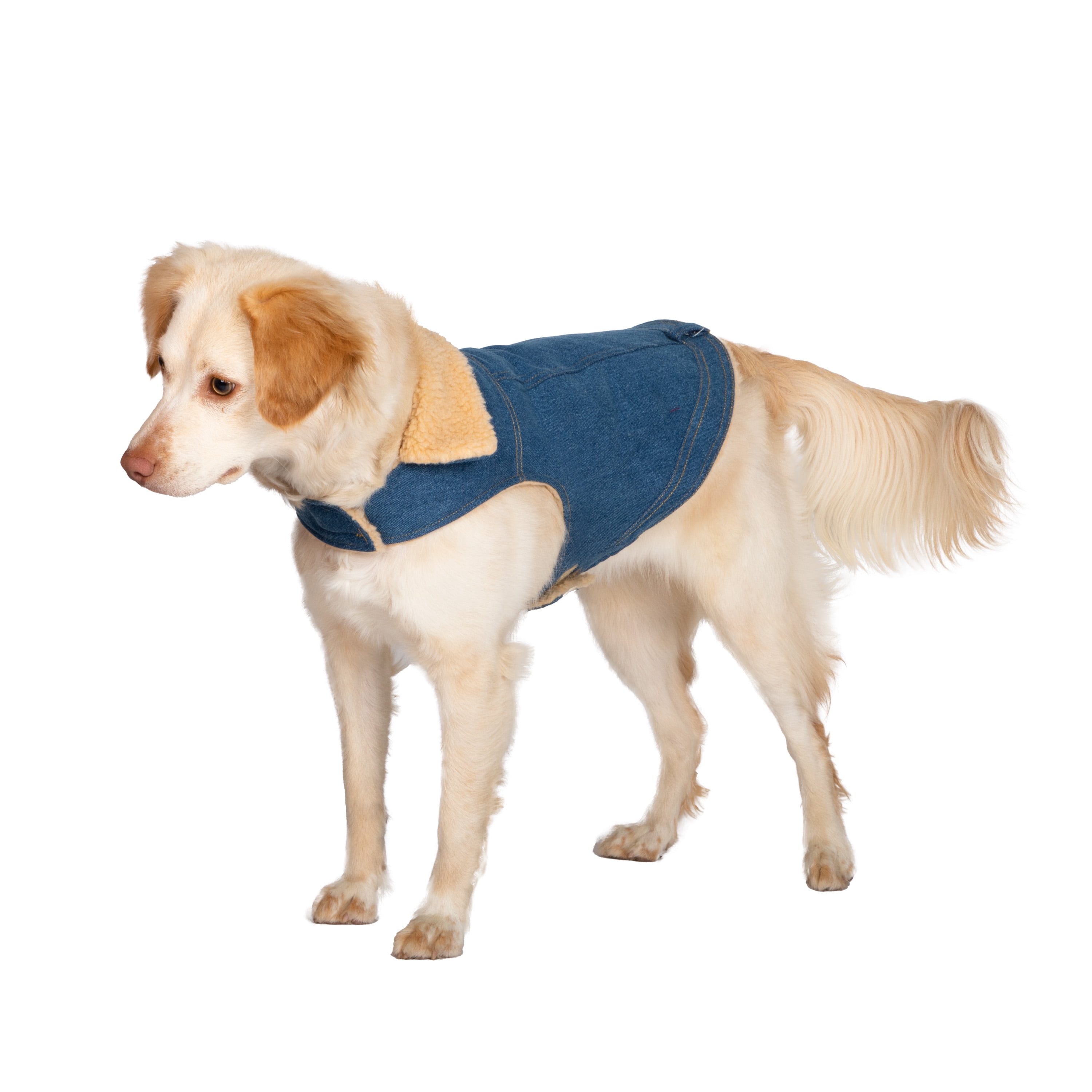 Gap Pet, Dog Clothes, Blue Denim Pet Jacket