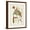Brown Frame, variant on Art.com Vintage Flowering Trees V Art Print by 0 Unknown, 12" x 16"