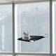 thumbnail image 4 of Percha para ventana de gato Sunnimix Cama colgante Lechón hamaca Cómodo estante para ahorrar espacio Negro, 4 of 8