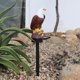 thumbnail image 4 of Solar Del Jardín de Del águila Enciende El Ornamento de La Lámpara Del Césped para La, 4 of 9