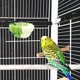 thumbnail image 1 of RENACLIPY Para Pájaros De Jaula Resistente Y Cómodo Para, 1 of 6