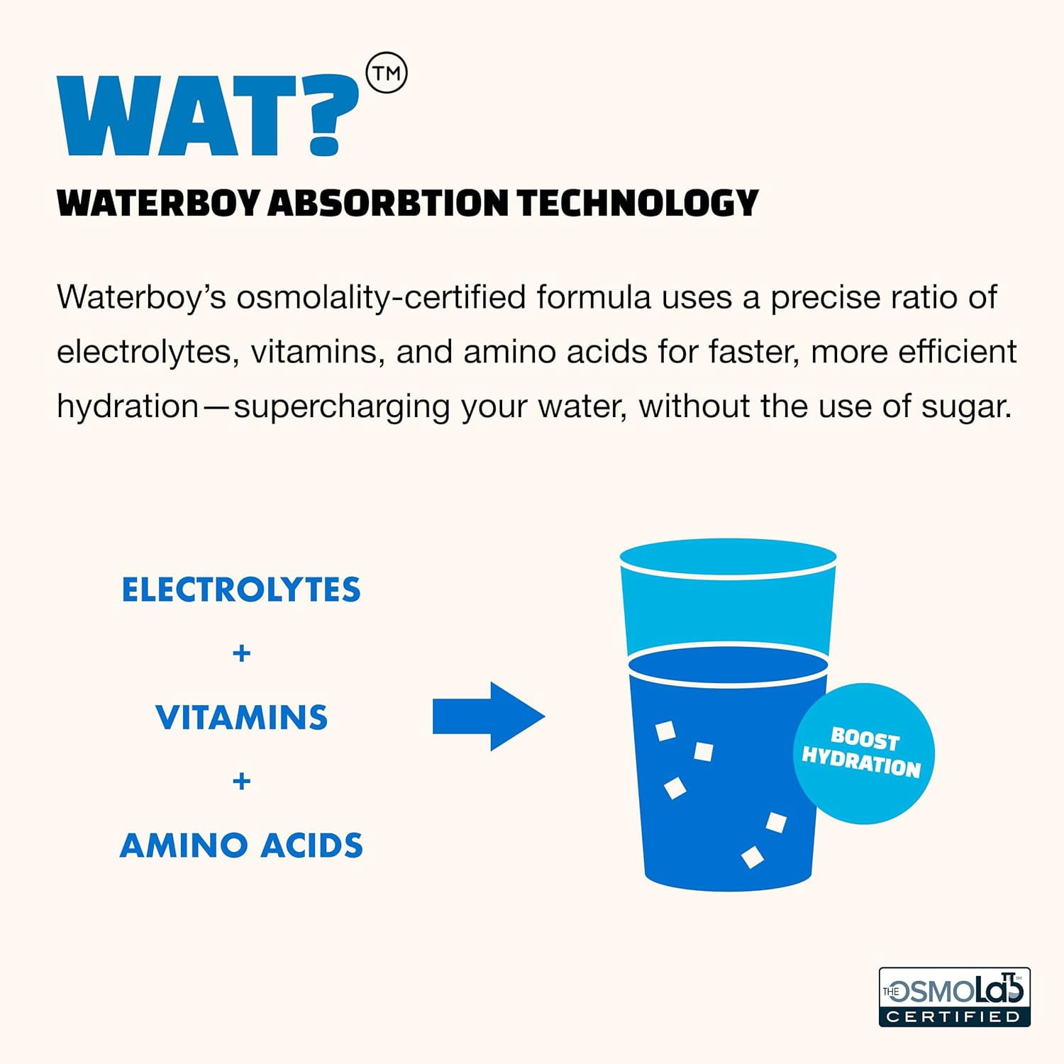 Waterboy Daily Hydration Sugar-Free Electrolyte Powder Packets, Juicy Peach, 7 Count