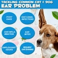 thumbnail image 6 of Oimmal Cat & Dog Ear Cleaner Drops - Dog Ear Infection with 1% Hydrocortisone to Soothe Itching, Redness, & Swelling - Vet Recommended 2 oz, 6 of 11