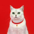 thumbnail image 2 of Pet Collar with Year of Pendant Red Pet Collar for Good Luck Cartoon Chinese Style Pet Red Rope Collar Good Luck Non fading Adjustable Length Dog Necklace with Pendant, 2 of 7