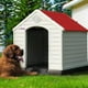 thumbnail image 3 of Casa Para Perro Q Perrón Raza Extra Grande Color Rojo, 3 of 6