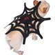 thumbnail image 1 of Disfraz de mascota Spider Web Cat Dog Halloween Christmas Dress Up Disfraz de fiesta de utilería Abanopi Grande, 1 of 7