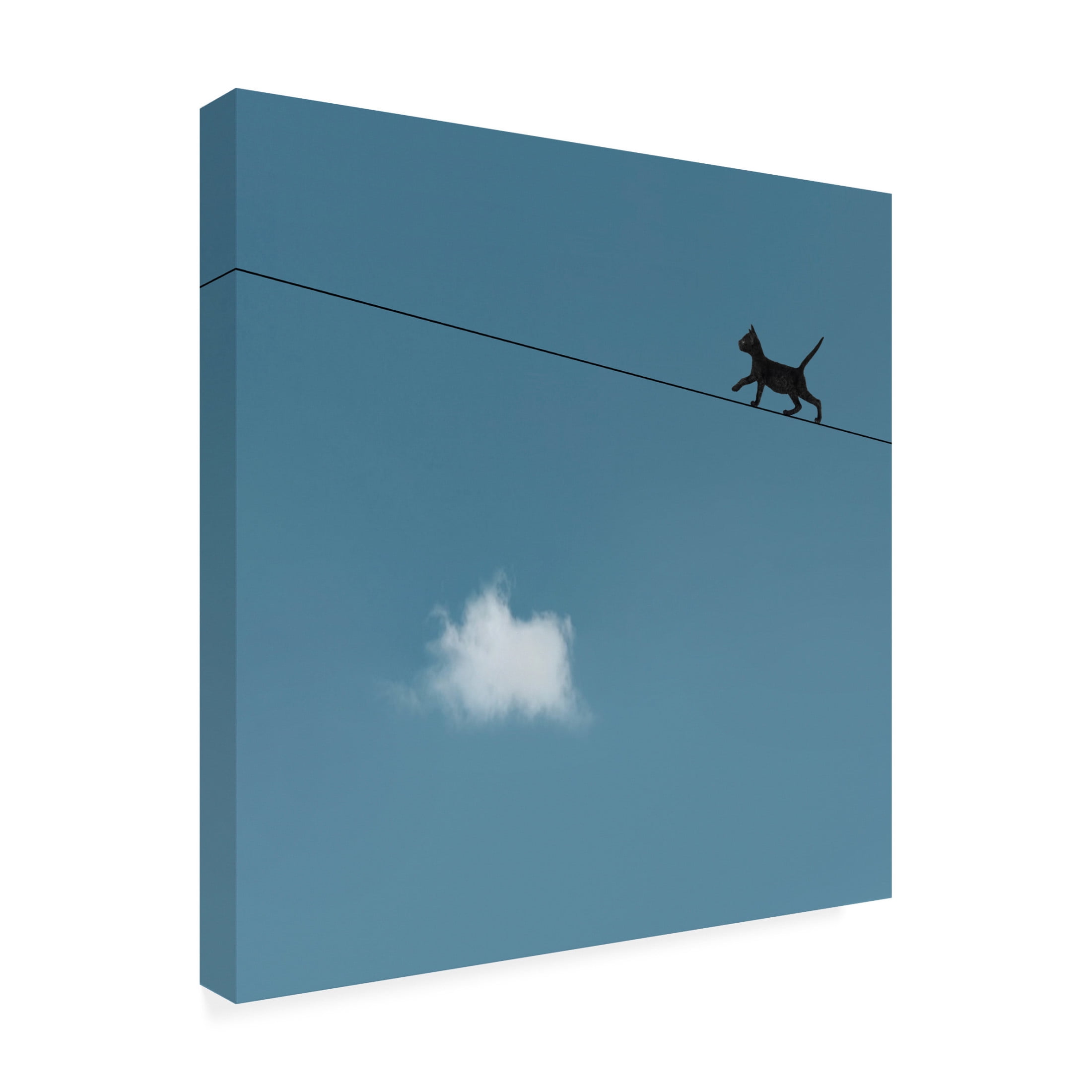 Canvas Wall Art - Jon Bertelli 'Walk The Line' Wall Art for Living Room, Bedroom, or Office Décor by Trademark Fine Art - 35 x 35 Inches