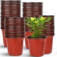 thumbnail image 1 of Augshy 150 Pcs 4" Plants Nursery Pot, Starting Pots, 1 of 5