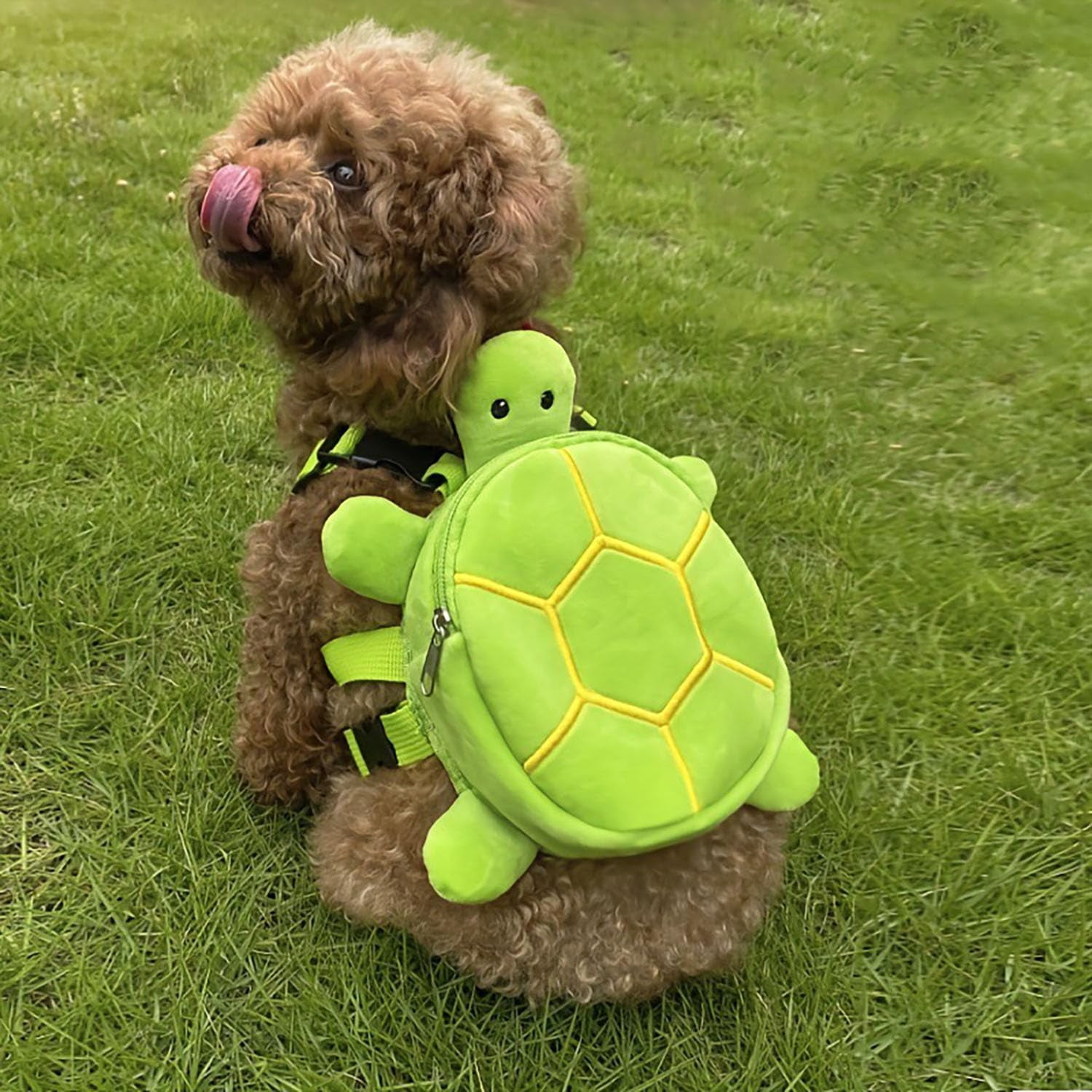 Dog Backpack Harness With Leash  Adjustable For Small Dogs Cute Turtles Shape Bag Pet Carrier Backpacks Hiking And Daily Walking