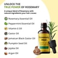 thumbnail image 2 of Aceite de tratamiento capilar Seven Minerals Rosemary con aceite de ricino, 2 of 8