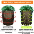 thumbnail image 6 of 5 Pack 10 Gallon Potato Grow Bags with Flap Window & Sturdy Handles, Garden Vegetables Planting Bag Planter Heavy Duty Growing Container for Tomato Onion Carrot Flowers Fruits, Green, 6 of 6