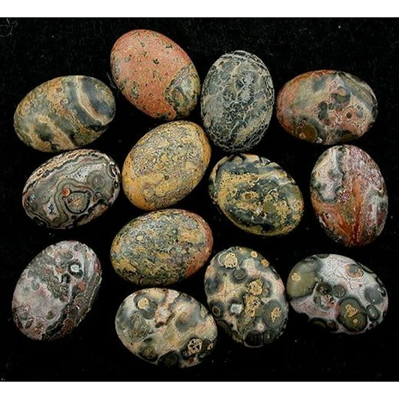 TWO 18x13 18mm x 13mm Oval Leopardskin Jasper Cab Cabochon Gem Gemstone ljc5