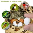 thumbnail image 6 of GETAJGHSD 10Pcs Realistic White Artificial Bird Eggs for Bird Breeding Use, 6 of 6