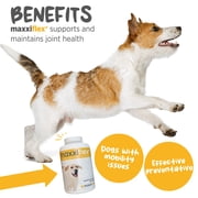 maxxiflex+ Hip & Joint Supplement for Dogs with Glucosamine, Chondroitin, MSM & Collagen | Mobility, Flexibility & Discomfort Support | Senior, Adult & All Breeds | 120 Tablets