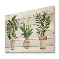 thumbnail image 2 of Designart 'Houseplant Peace Lily In Terra Cotta and Monstera' Farmhouse Print on Natural Pine Wood, 2 of 5