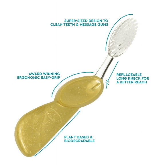 RADIUS Toothbrush Big Brush with Replaceable Head, Left Hand, Soft in Gold, BPA Free and ADA Accepted, Designed to Improve Gum Health and Reduce The Risk of Gum Disease