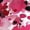 Hot Pink, variant on 2 Piece Women's Short Sleeve Pajama Sets, Lounge Sleepwear Ladies Pjs Sets with Pockets