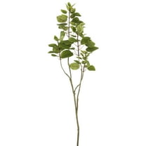 Vickerman 48" Artificial Green Cotinus Coggygria Branch.