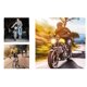 thumbnail image 3 of Guantes cálidos Guantes de invierno Guantes de equitación Guantes de trabajo de carreras de motos todoterreno resistentes al desgaste Blanco M esquí esquí Gafas de esquí, 3 of 3