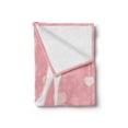 thumbnail image 2 of High Heels Soft Flannel Fleece Blanket, Classy Female Foot Wear and Hearts Dotted Lines Feminine Illustration, Cozy Plush for Indoor and Outdoor Use, 60" x 80", Pale Pink Dried Rose, by Ambesonne, 2 of 5