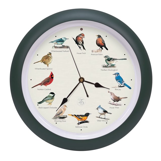 Reloj con forma de pájaro cantor Mark Feldstein, 25 aniversario, edición. 33 cm