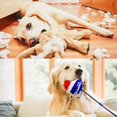 thumbnail image 4 of Pet Dog Silicone Molar Toy,Dog Rope Ball Pull Toy Sucker Mul, 4 of 5