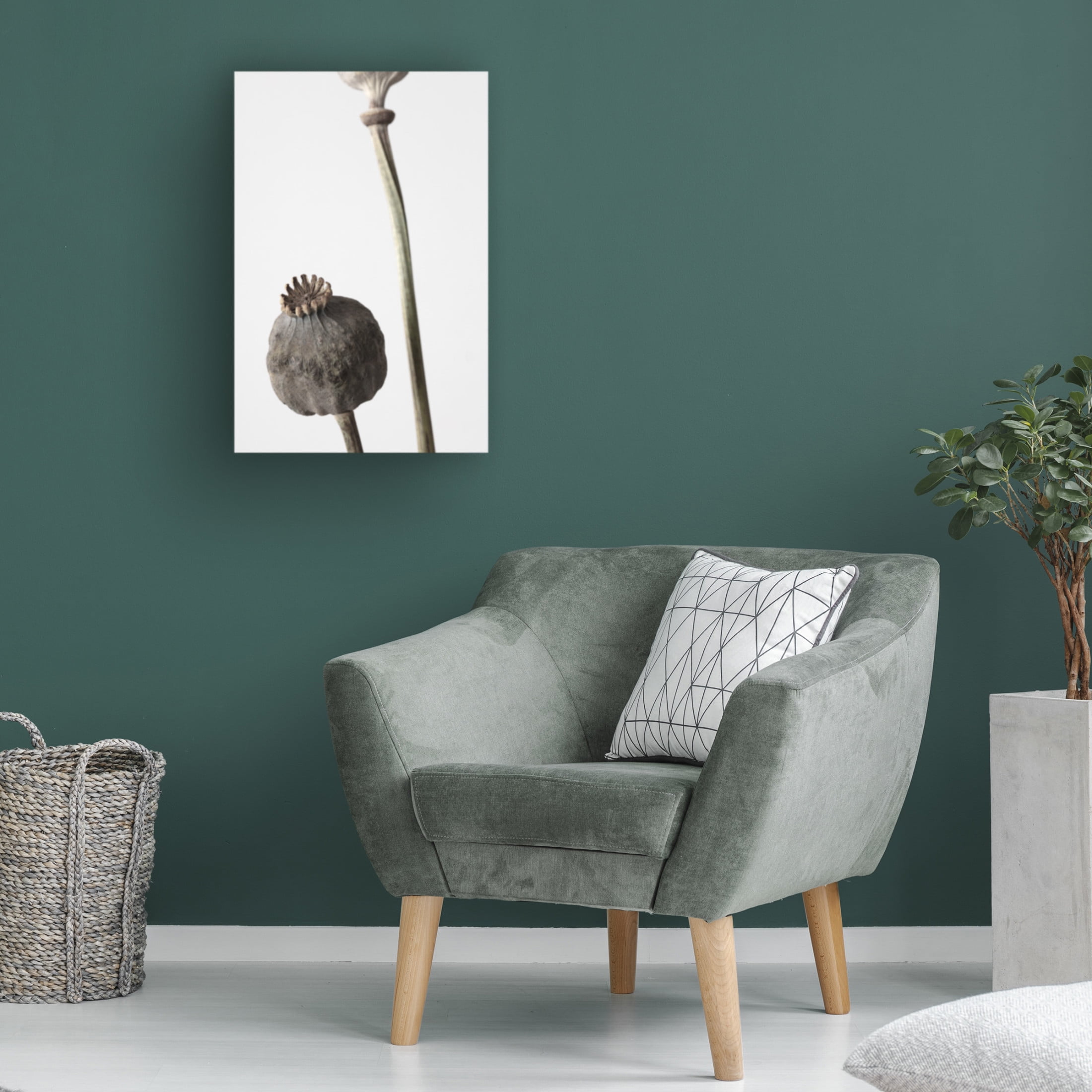 Trademark Fine Art Pictufy Studio Dried Canvas Wall Art