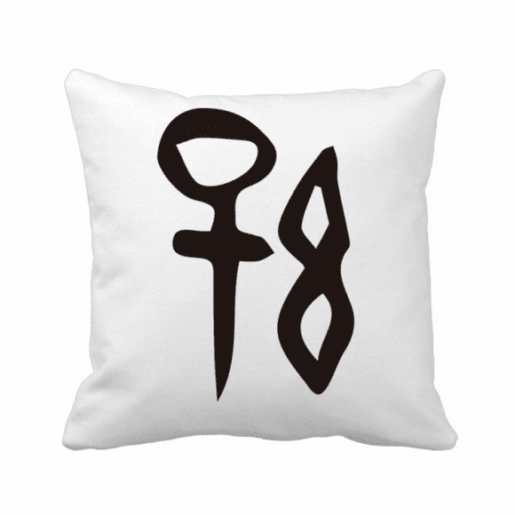 b inscription chinese surname character sun throw pillow sleeping sofa cushion cover