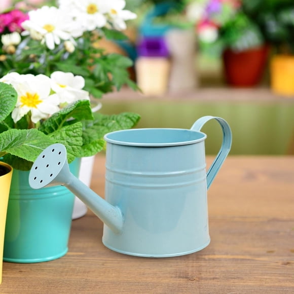 Watering Can for Indoor Plants - Mini Houseplants Watering Can with Handle | Small Watering Container for Gentle Pouring | Lightweight Watering Tool for Home Garden Potted Plants