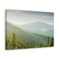 thumbnail image 2 of Wonderful Trees on the Mountains Scene Beautiful Spectacular and Awesome Beauty Nature Scene Big Trees and Mountain Range Wall Art Ready to Hang Unframed, 2 of 18
