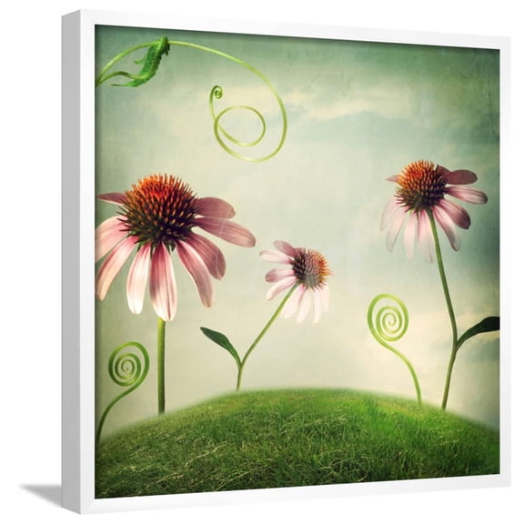 Echinacea Flowers in Fantasy Landscape, Botanical Scenic Framed Art Print Wall Art by Melpomene Sold by Art.Com