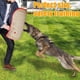 thumbnail image 3 of Juego De Entrenamiento Para Morder Para Perros, Almohada Con Funda Para Morder Para Perros, Juguete Para Tirar, Palo De Entrenamiento, Interactivo Efectivo, Fácil De Usar Para, 3 of 7