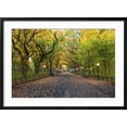 thumbnail image 2 of Art.com Central Park. Image of the Mall Area in Central Park, New York City, USA at Autumn. Photographic Print by Rudy Balasko, Black Frame Wall Art, 29" x 21", 2 of 5