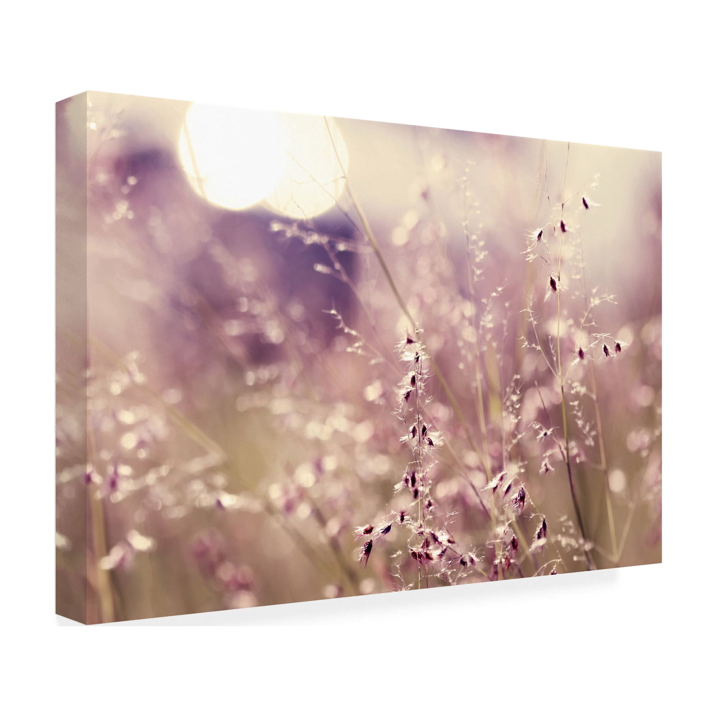 Trademark Fine Art "Afternoon Tales" Canvas Art by Beata Czyzowska Young