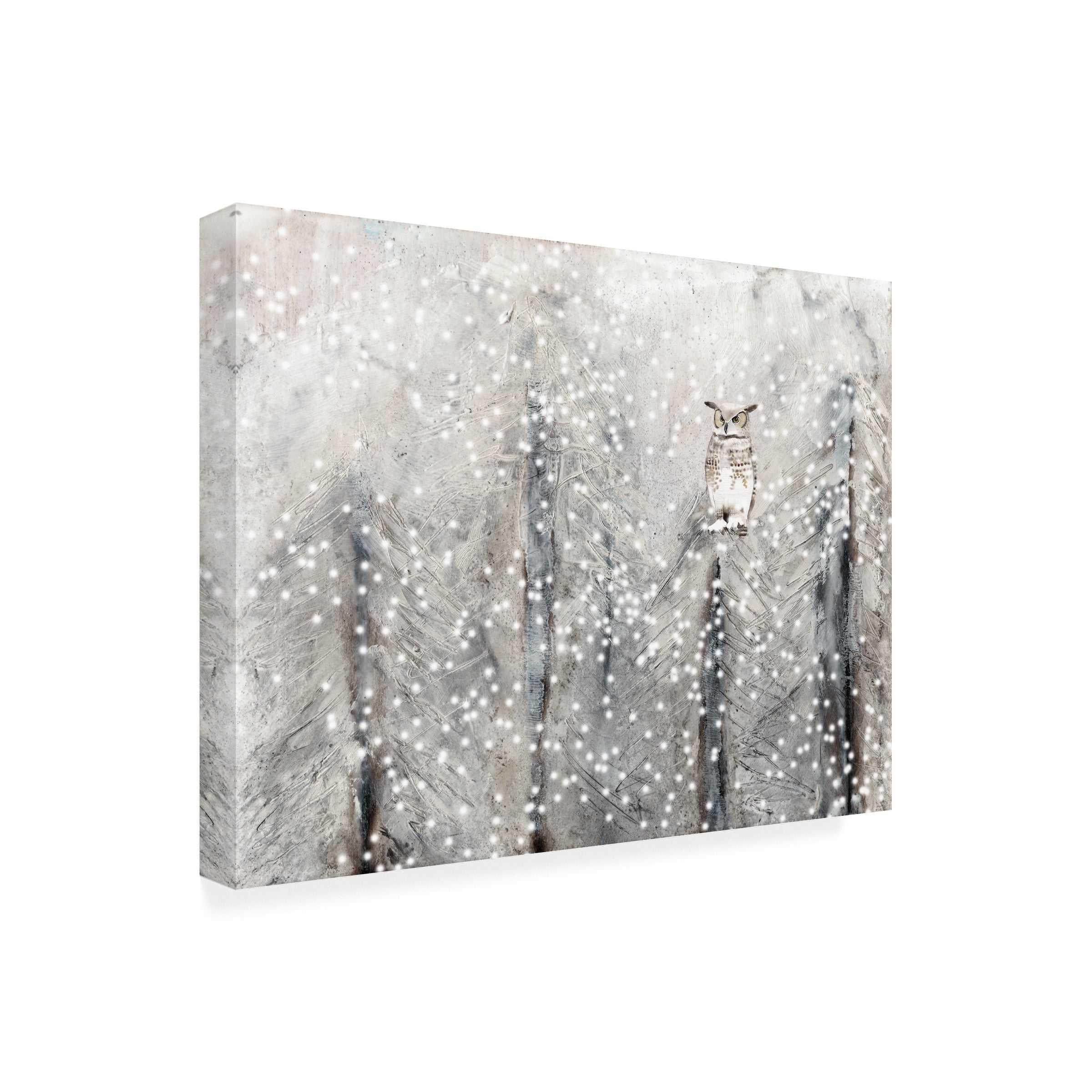 Alicia Ludwig 'Snowy Habitat I' Canvas Art