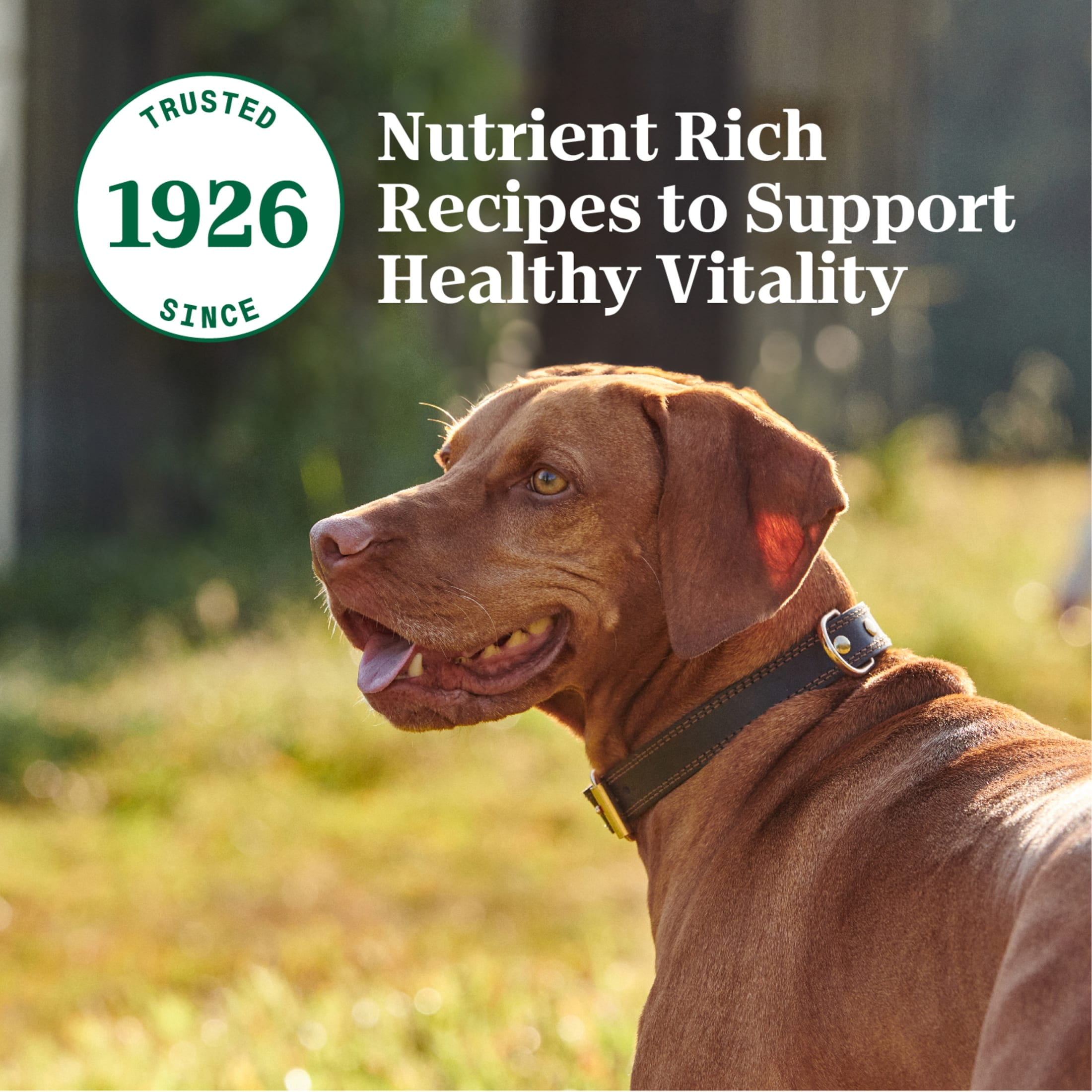 Nutro Natural Choice Cuts In Gravy 4 Flavors Variety Pack Wet Dog Food, 3.5 Oz Tray Pack Of 36