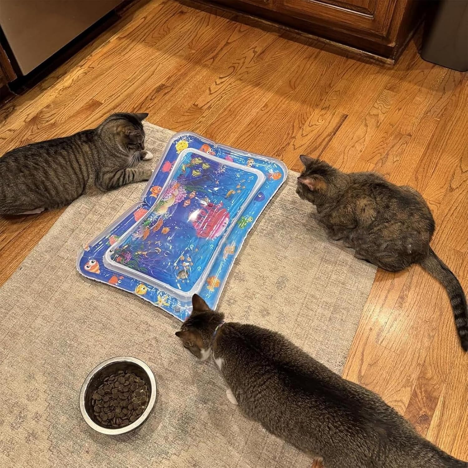 Glow Pad for Cats,  Multi-color Lighted Cat Water Play Mat with Floating Fish, Motion-Activated Glowpad for Cat, Thickened Leak-Resistant Pet Interactive for Indoor Play