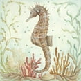 thumbnail image 2 of McRostie, Kate 12x12 White Modern Wood Framed Museum Art Print Titled - Seahorse IV, 2 of 4