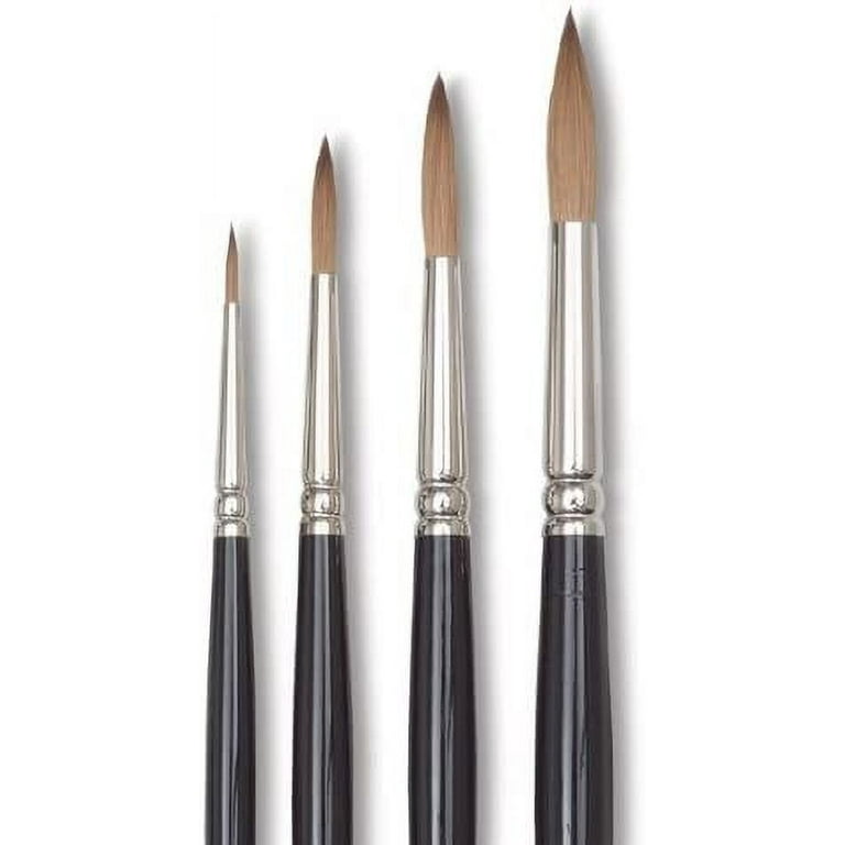 洋書 Brush With Gondwana 洋書 Brush With Gondwana Brush with