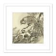 thumbnail image 1 of Bairei Pheasant Snake Japanese Painting 8X8 Inch Square Wooden Framed Wall Art Print Picture with Mount, 1 of 4
