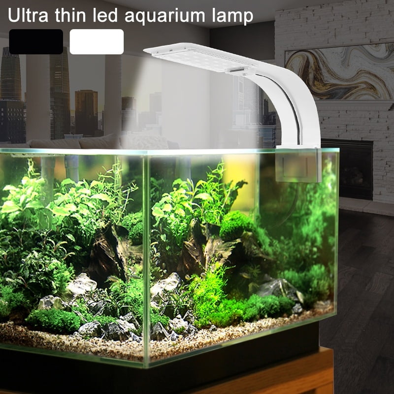thin fish tank