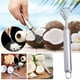thumbnail image 1 of Rallador de frutas de acero inoxidable y descamador de pescado - Herramienta polivalente para cocina de cítricos, coco y más - 19cm, 1 of 8