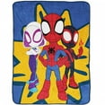 thumbnail image 1 of Marvel Spidey  and  His Amazing Friends Team Spider-Man Throw, 1 of 3