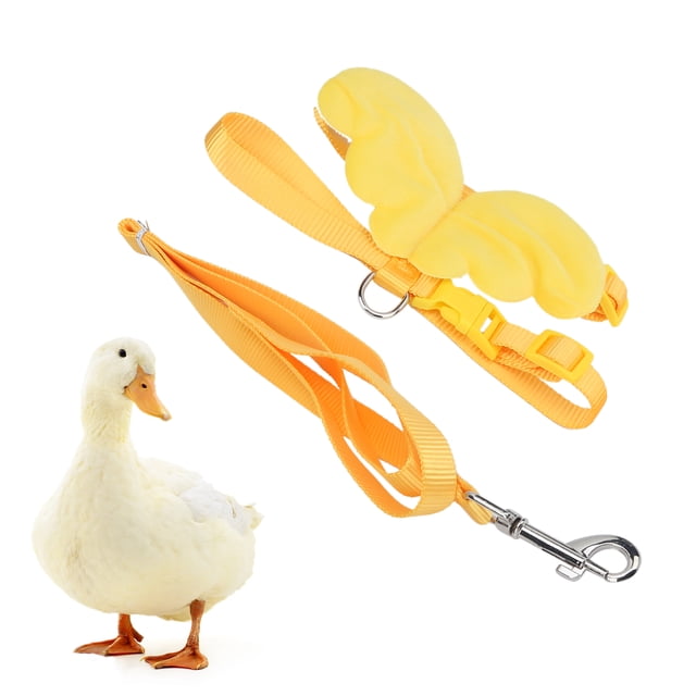 Correa de arnés para caminar exterior de pato, cuerda de tracción para patos, suministros ajustables para aves de corral, juego de correa de arnés para mascotas, diseño fácil de usar Jadeshay A