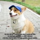 thumbnail image 3 of Gorra de béisbol para perros con orificios para las orejas para protección solar | Sombrero ajustable para mascotas, apto para perros pequeños, medianos y grandes, 3 of 5