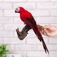 thumbnail image 2 of Moyic Simulación hecha a mano loro jardín decoración pluma césped espuma estatuilla ornamento Animal pájaro cerca pájaro Prop Decoración Decoración del hogar No. 4 Moyic HA024215-04, 2 of 5