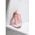 thumbnail image 2 of Bharara Rome Paradox 100Ml Edp Spray, 2 of 3