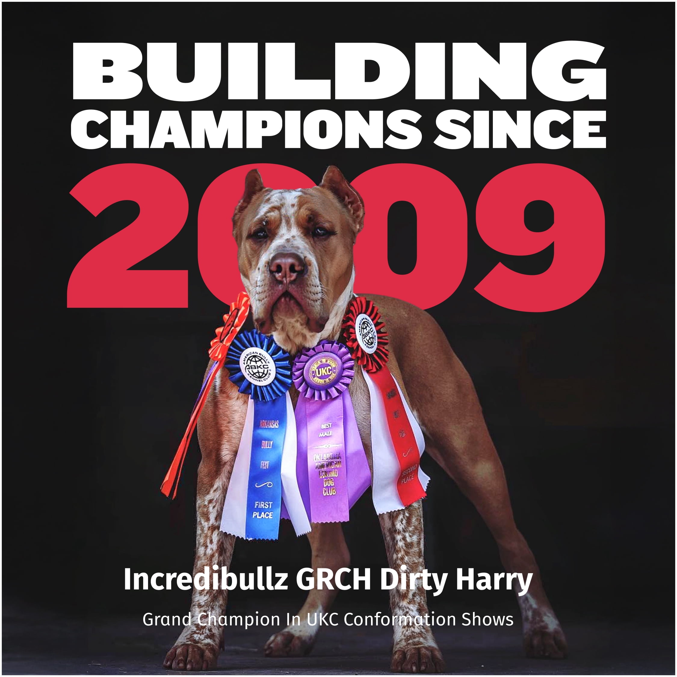 Bully Max Immunity & Health Bacon Flavor Soft Chews for Dogs, 10.6 oz Bag