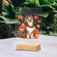 thumbnail image 2 of Welcome Fall Collie Enjoys School Time Autumn Fall Leaves Acrylic Plaque Sign Ashwood Base Collie Dog Lover Gifts Idea Home Desk Decor - 02013, 2 of 5