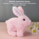 thumbnail image 4 of Juguete Conejo Peluche Lujoso Realistic Pascua Regalos para (), 4 of 9